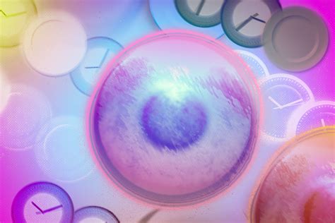 it evaluates the results of the study or research.|Study reveals the benefits and downside of fasting .
